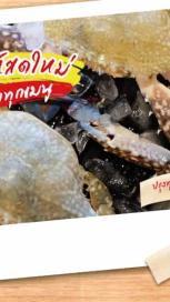 https://www.maggi.co.th/sites/default/files/styles/search_result_153_272/public/how-to-choose-fresh-crabs-banner_0.jpg?itok=3J3_lSVP